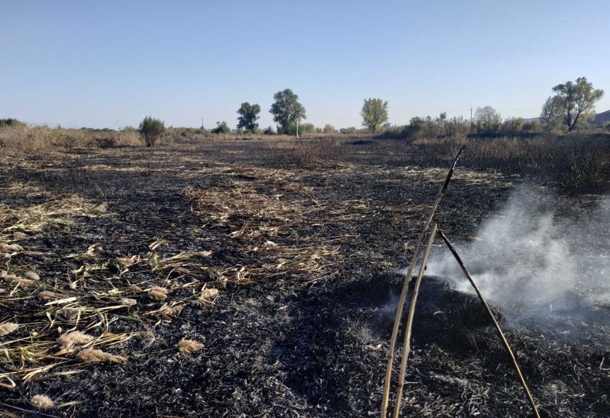 Наслідки пожежі
