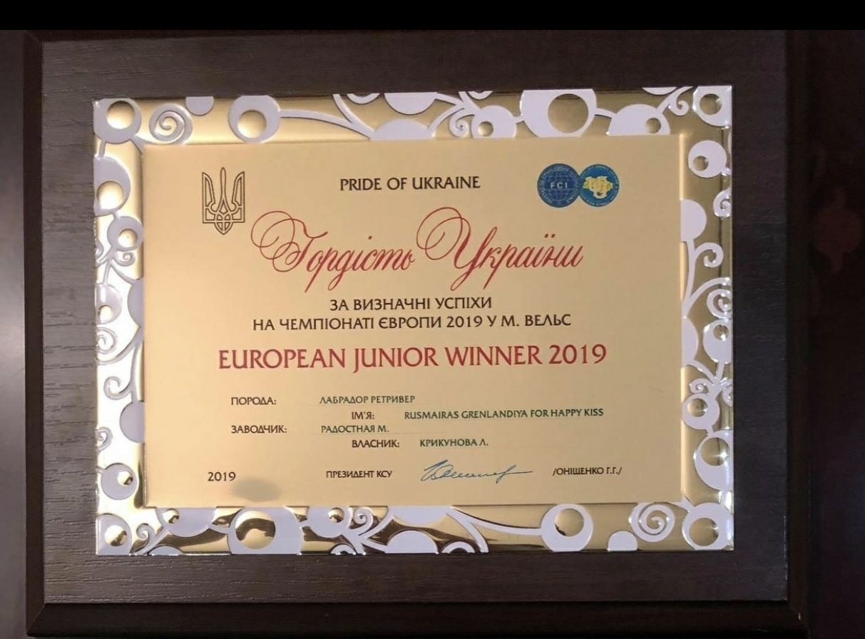 Диплом чемпіонки Європи Фіфи