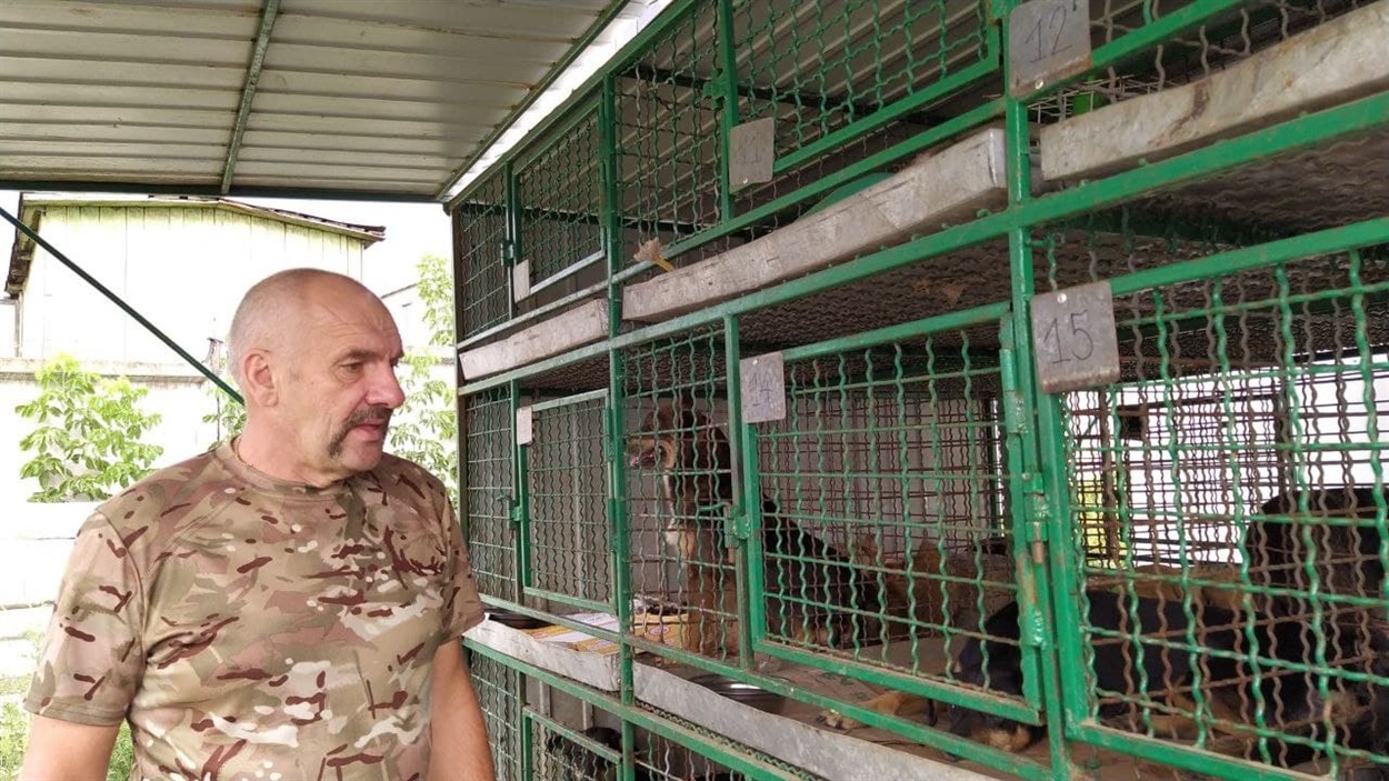 Віктор Воротніков з "Ветеринарів без кордонів" стерилізував собак у Сватовому у серпні 2021