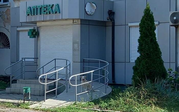На окупованій Луганщині не працюють аптеки через дефіцит ліків, 16.10.2023