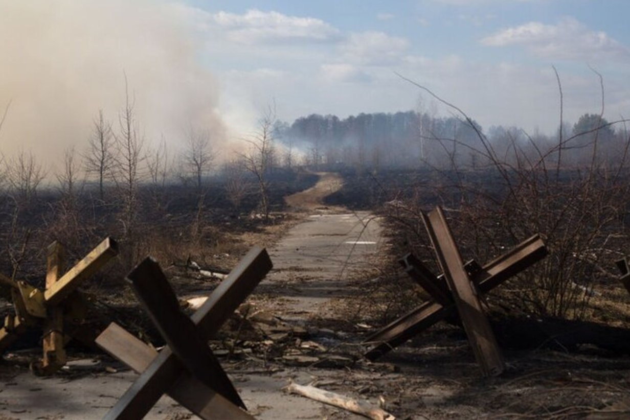 Від початку бойових дій росіяни знищили на Луганщині понад 26 тис гектарів лісу, 12.01.2024