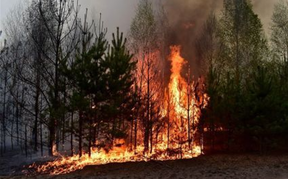 По Серебрянському лісу загарбники вдарили керованими авіаційними бомбами, 23.05.2024